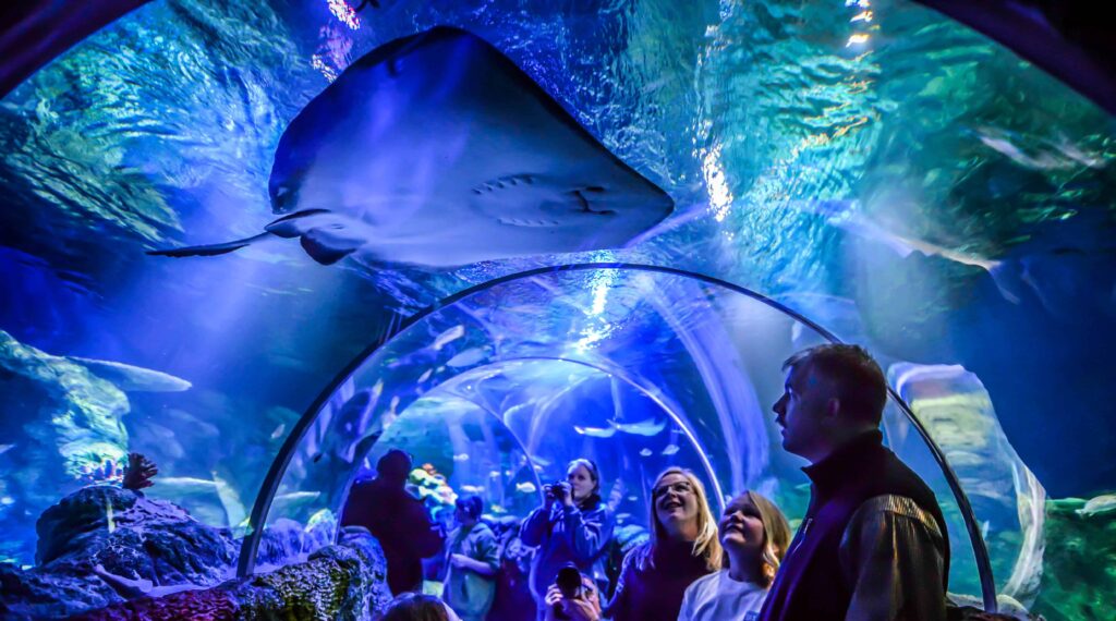 family walking through underwater tour in aquarium