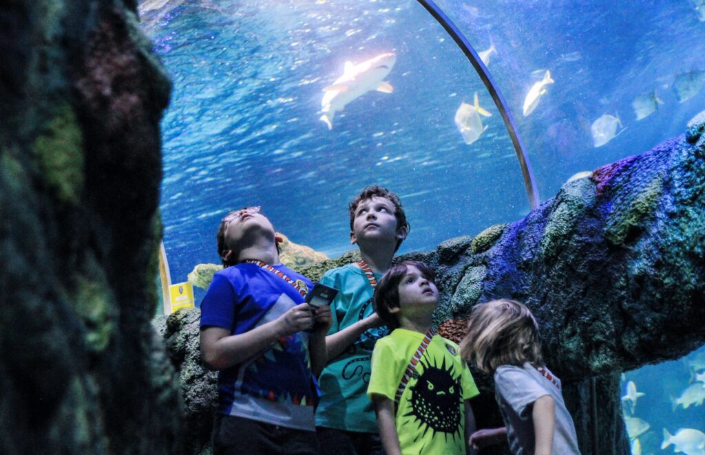 Children gaze at sea creatures swimming overhead inside the ocean tunnel. 