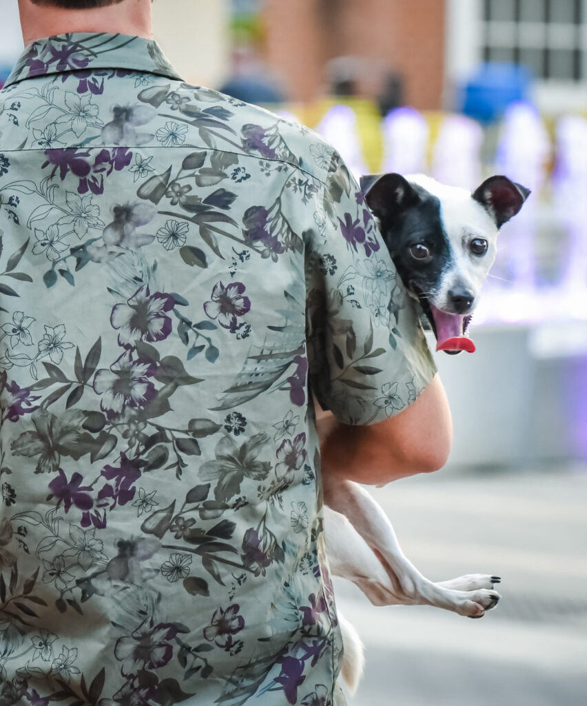 man carrying dog