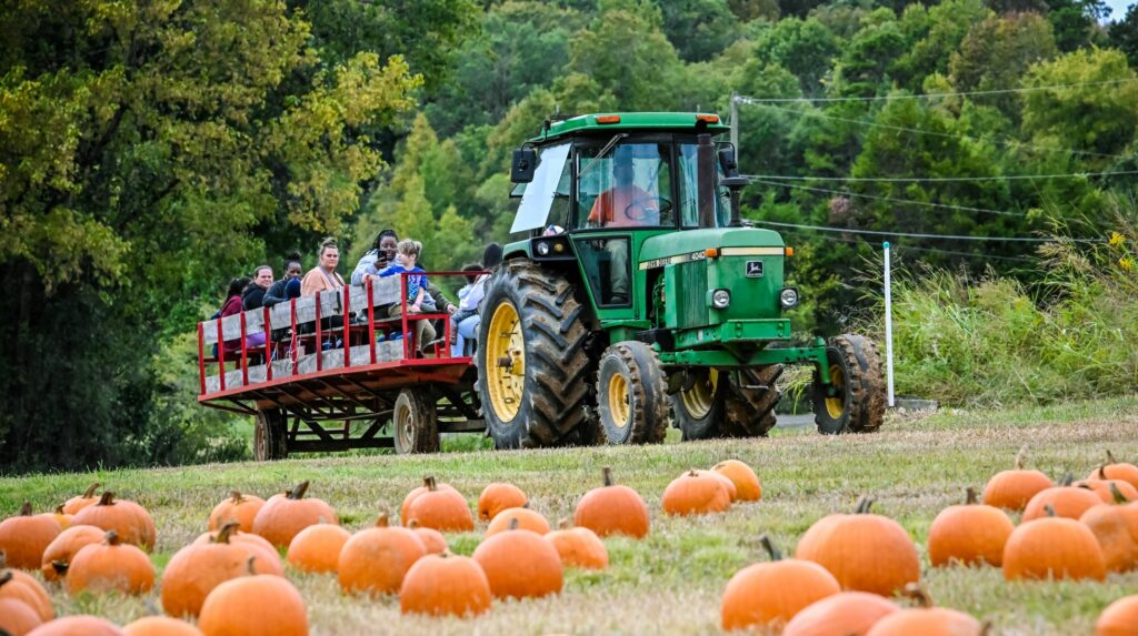 tractor ride at pumpkin patch