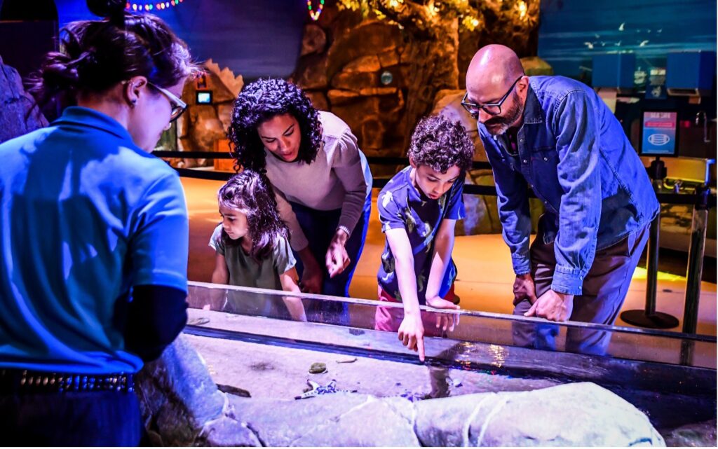 family looks at sea life in aquarium