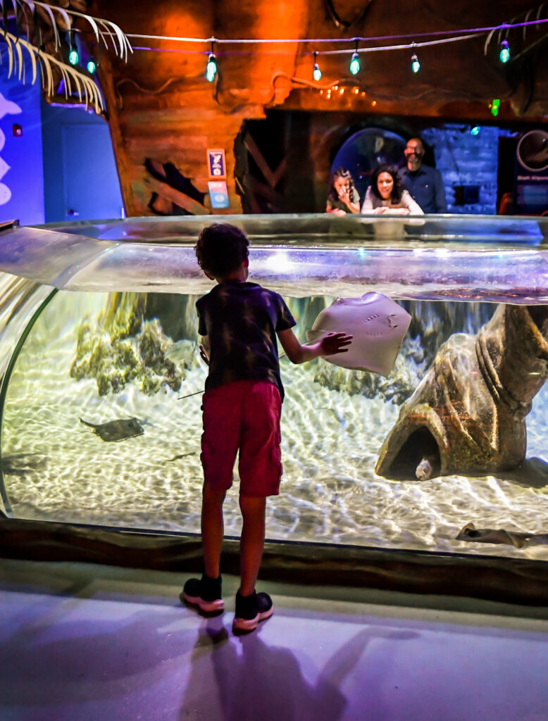 boy stands in front of tank as sting ray swims by