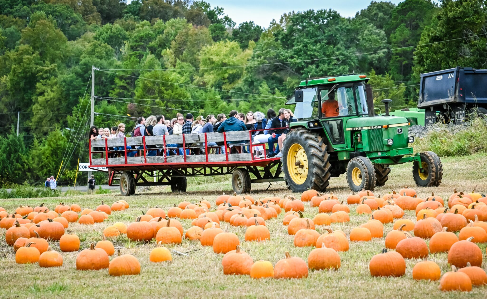 Fall Festival at Almond Farm