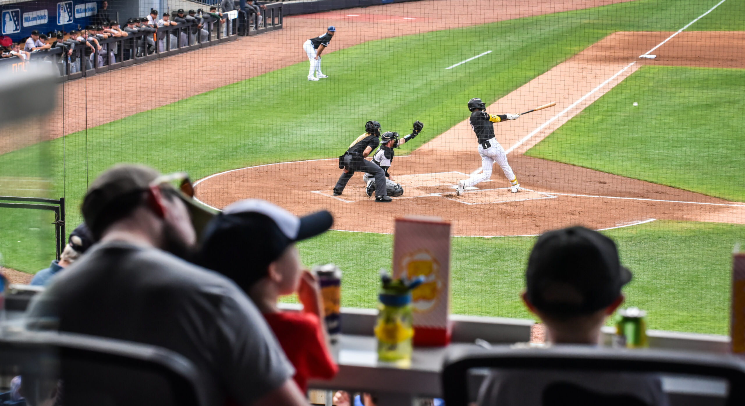 10 Reasons You’ll Have a Blast at a Kannapolis Cannon Ballers Game