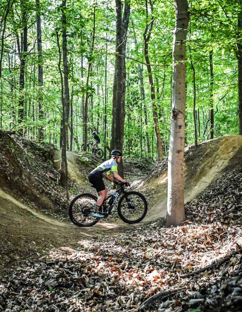 Mountain biker in the woods