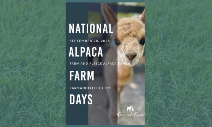 National Alpaca Farm Days Celebration | Explore Cabarrus